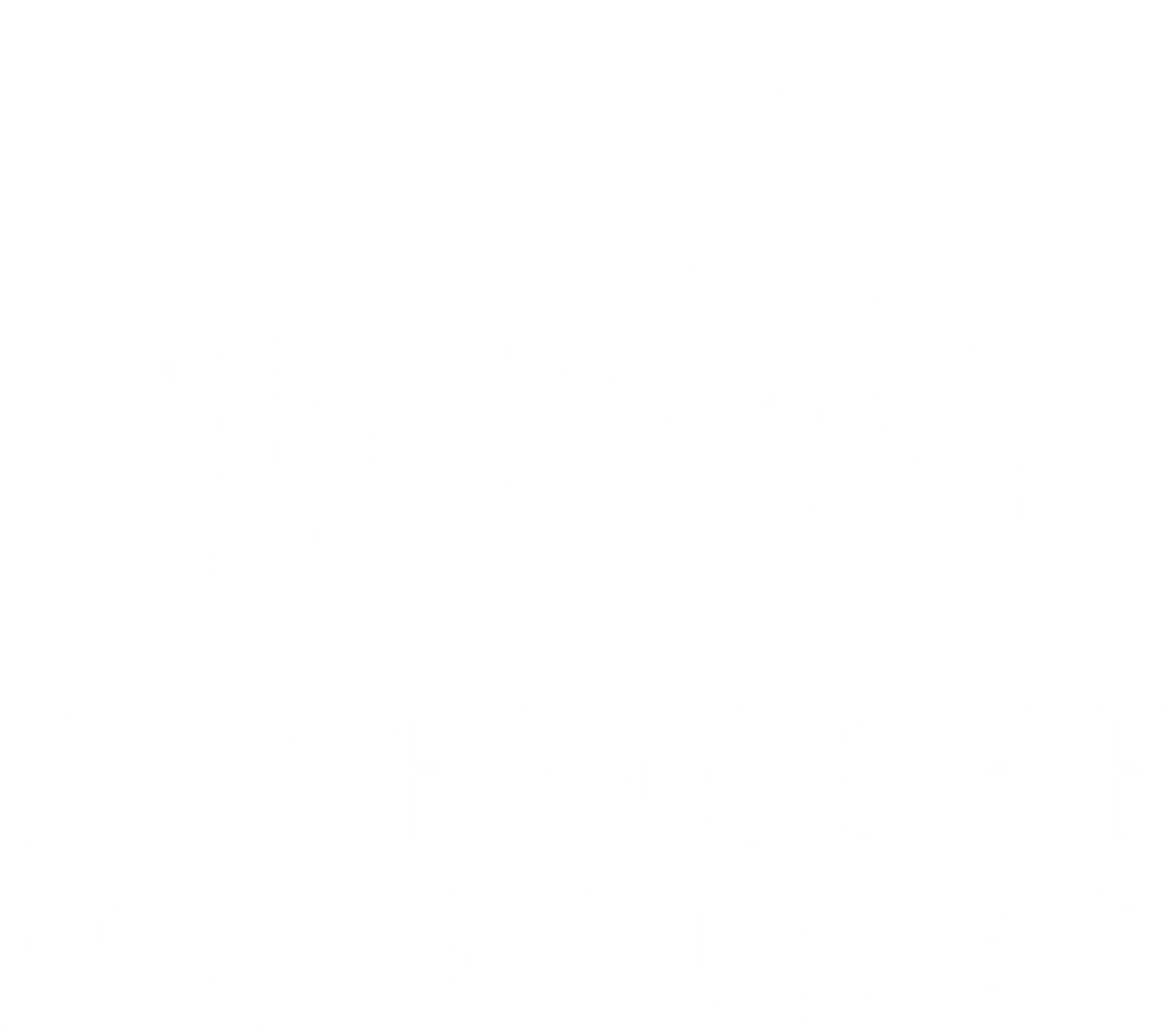 Logo Assemblée Nationale de couleur blanche