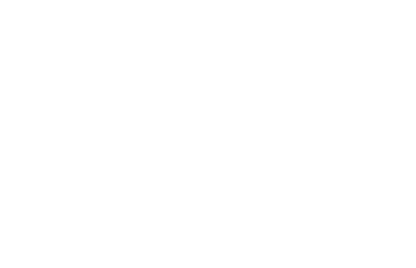 Logo Leon Binet BLANC